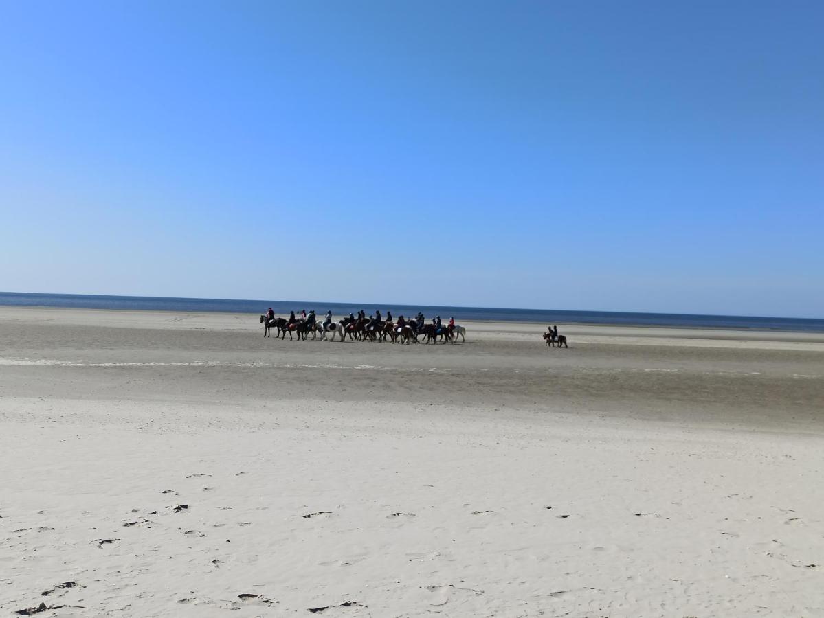 Gite Les Chalets Du Fliers Verton Meubles De Tourisme Classes 2 Etoiles Berck المظهر الخارجي الصورة