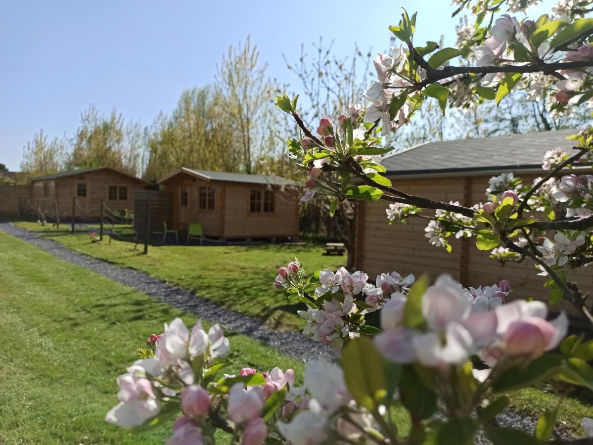 Gite Les Chalets Du Fliers Verton Meubles De Tourisme Classes 2 Etoiles Berck المظهر الخارجي الصورة