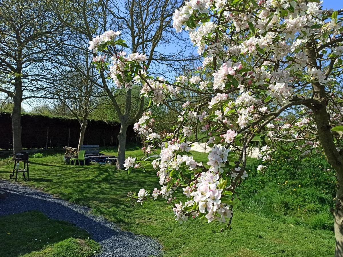 Gite Les Chalets Du Fliers Verton Meubles De Tourisme Classes 2 Etoiles Berck المظهر الخارجي الصورة