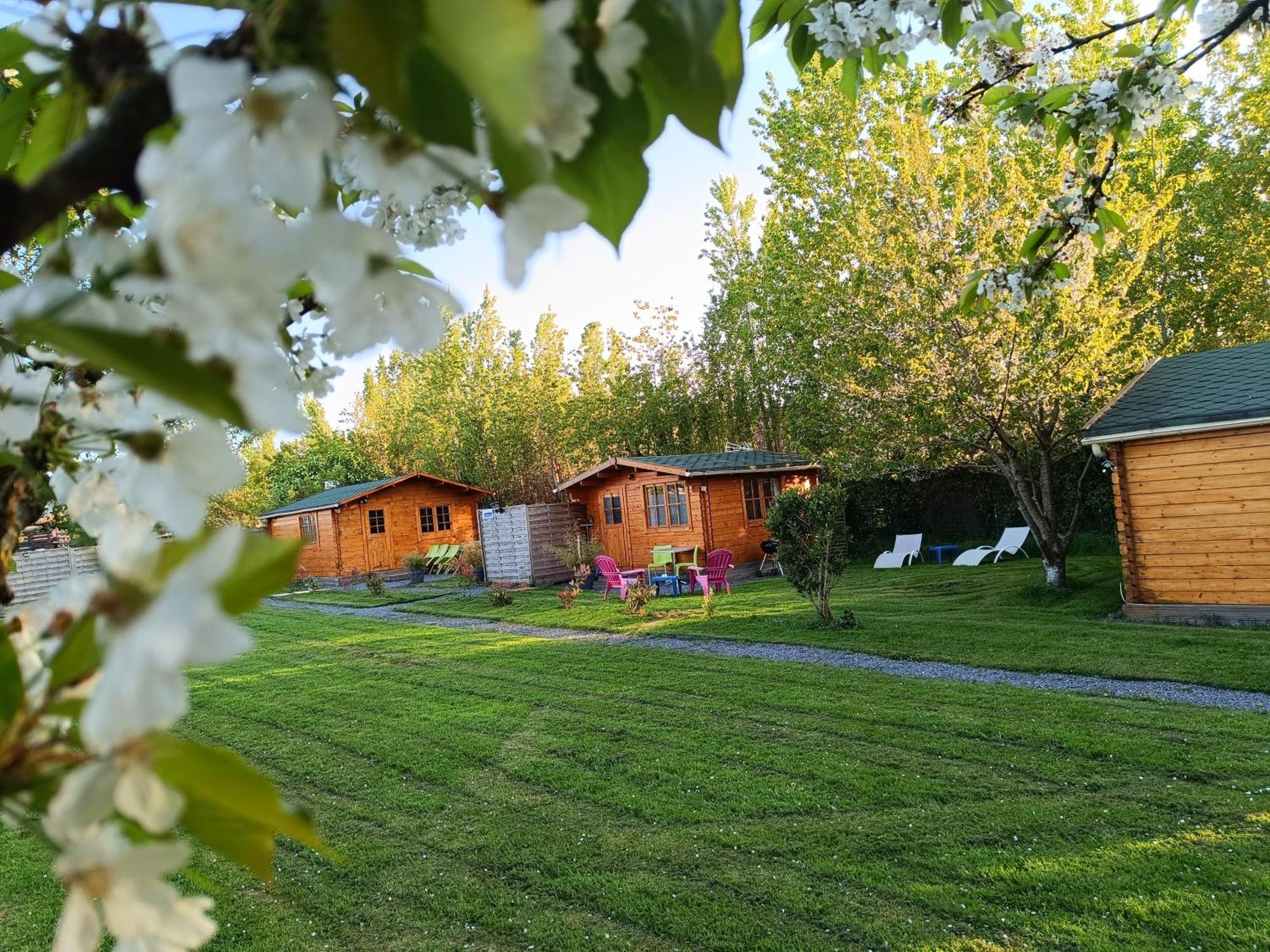 Gite Les Chalets Du Fliers Verton Meubles De Tourisme Classes 2 Etoiles Berck الغرفة الصورة